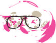 Eyeglasses illustration Eyeglasses illustration