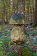 Holzpilz