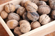 Macro view of walnut on the wood structure Macro view of walnut on the wood structure