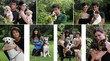 Cani di razza e abbandonati - 26923826