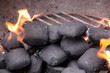 Grillkohle