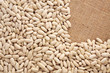 White beans