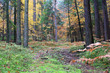 Beautiful Autumn