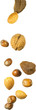 fallingnuts