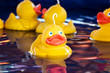 Foto: Fairground ducks Fairground ducks