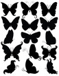 Many butterflies.