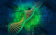 DNA DNA