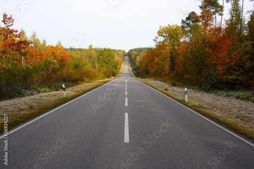 Foto: Straße durch den Wald im Herbst Straße durch den Wald im Herbst