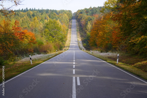 Foto: Straße durch den Wald im Herbst Straße durch den Wald im Herbst