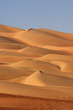 Empty Quarter Dunes