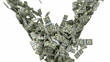 Y-shaped US dollar bundles flow with slow motion