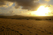 Desert sunrise on the sand dune