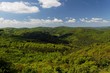 Schatten einer Wolke auf Wald Schatten einer Wolke auf Wald