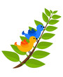 Tropical two colorful birds Tropical two colorful birds