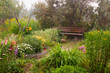 Forgotten garden yard in fog.