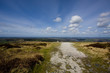 Landscape since the top of a hill