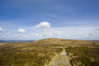 Landscape since the top of a hill