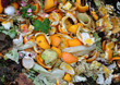 compost