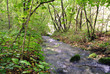 beautifull river