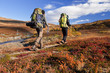 Wanderer im Herbst in Lappland Wanderer im Herbst in Lappland