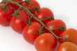 Tomates en grappe