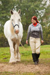 Woman with big white shire horse