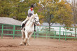 Young woman riding shire horse Young woman riding shire horse