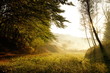 Sunny autumn morning