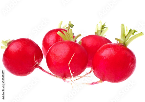 Photo: Frische Radieschen Frische Radieschen