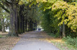 The park