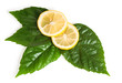 cross section of yellow lemon with green leaf