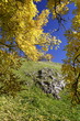 Felsen / Eselsburger Tal (Schwäbische Alb)