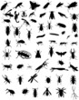 collection of 60 bugs - vector
