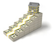 Illustration: Dollars and house Dollars and house