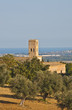 Abbazia di S. Maria di Propezzano 10