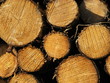 Photo: Holzstapel Holzstapel