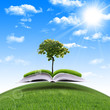 magic book