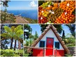 Tourisme à Madère