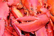 lobster claw background