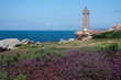 Lighthouse at coast of Brittany with purple heath in front