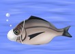 mare e inquinamento