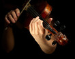 Musician playing violin isolated on black Musician playing violin isolated on black
