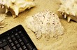 Tastatur