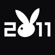 New 2011 year card with bunny, vector