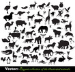 Biggest collection of the illustrated animals