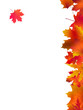 Thank You Card With A Leaves Background
