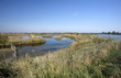delta del fiume Po