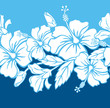 Illustration: Seamless Hibiscus Hybrid Border/Pattern Seamless Hibiscus Hybrid Border/Pattern