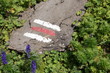 bergwerg