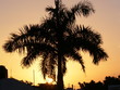 Abendstimmung